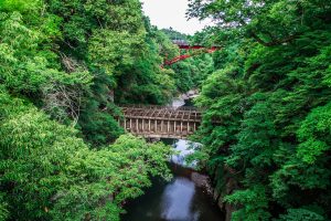 八ツ沢発電所施設